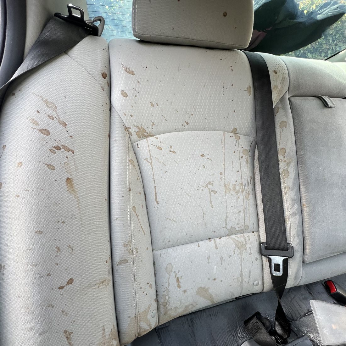 Rear bench seat before cleaning, stained across the back and cushion